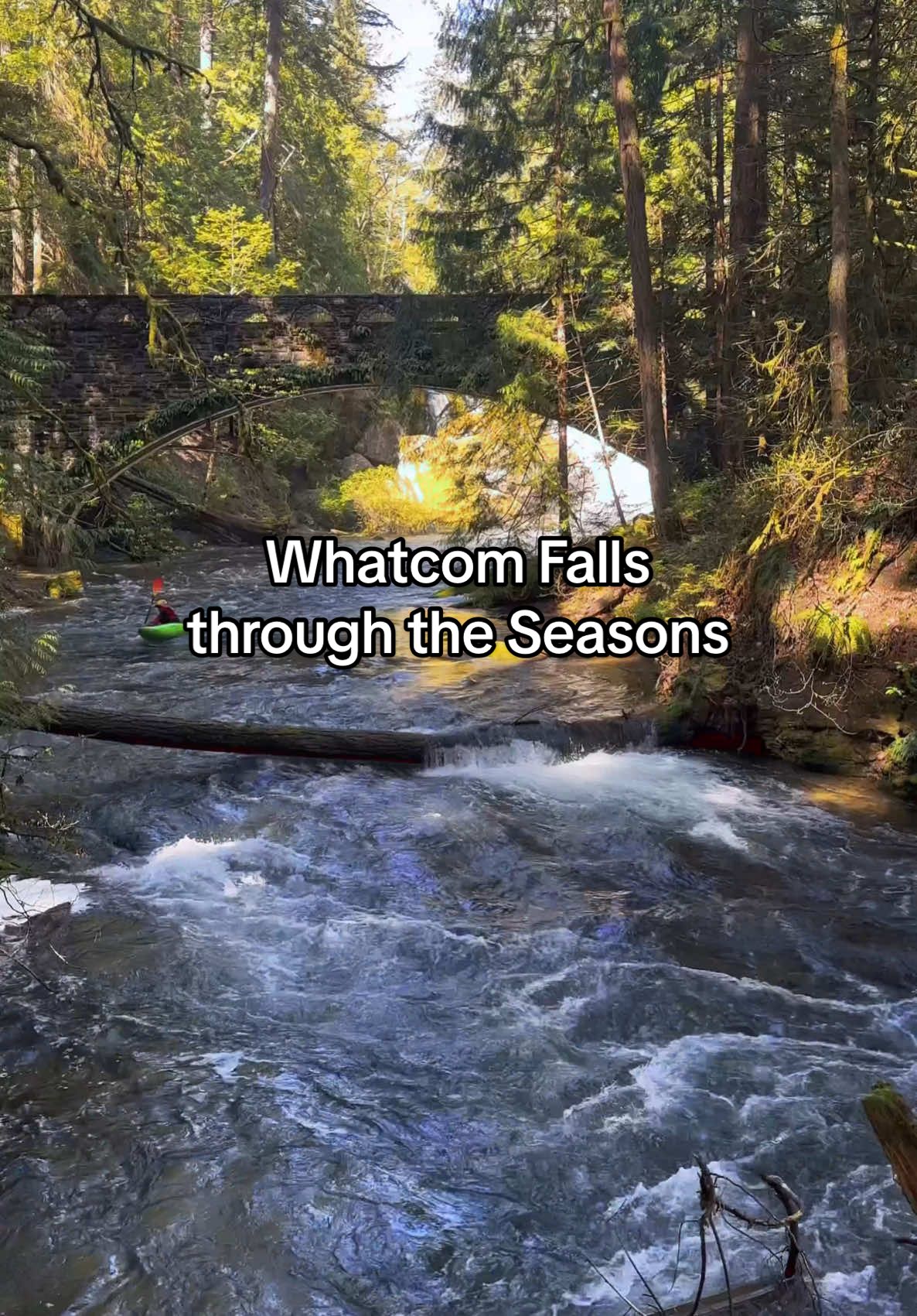 Whatcom Falls Park