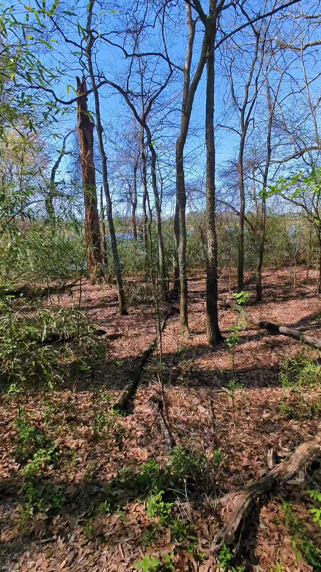 Wheeler National Wildlife Refuge