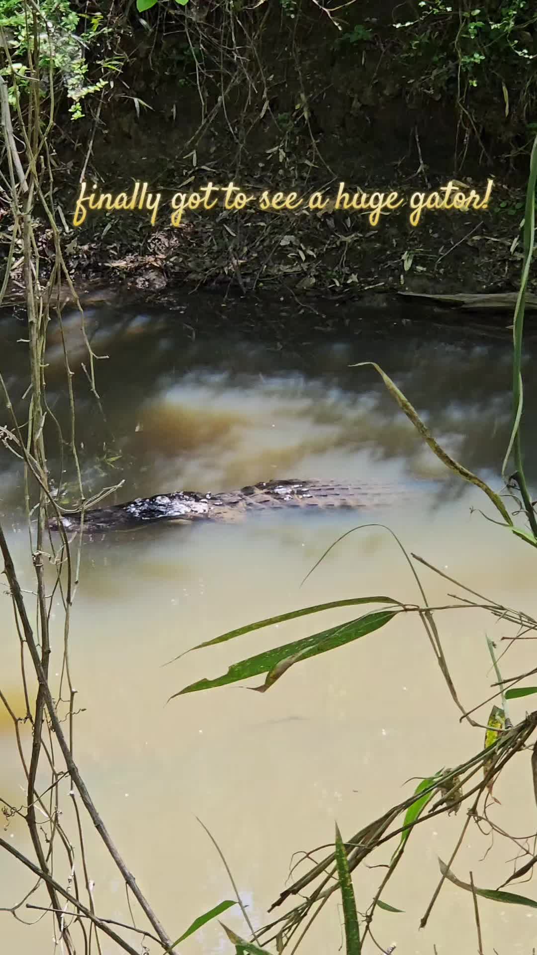 Wheeler National Wildlife Refuge