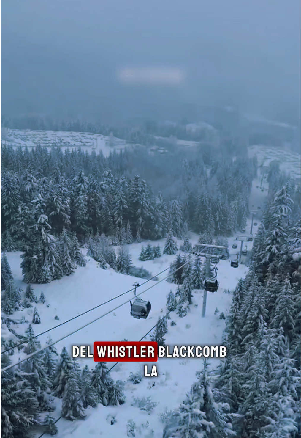 Whistler