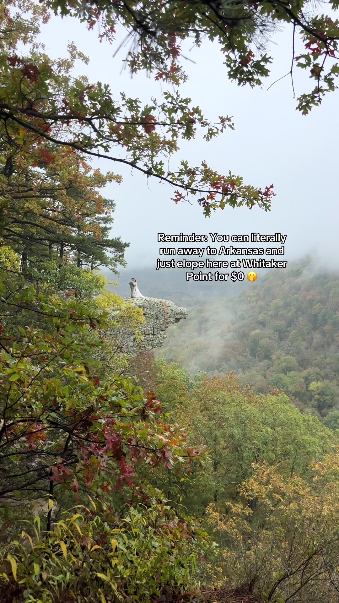 Whitaker Point (Hawksbill Crag)