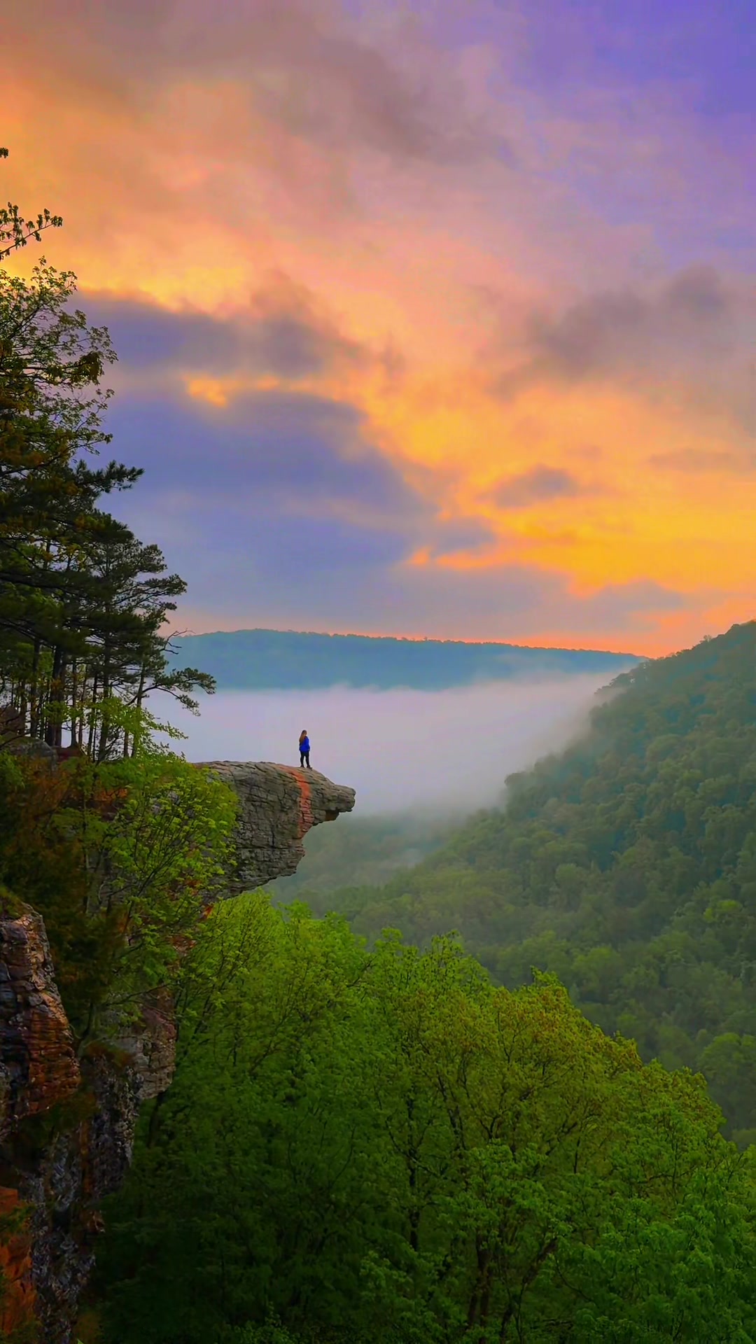 Whitaker Point (Hawksbill Crag)
