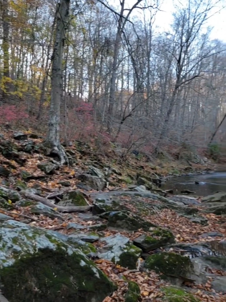 White Clay Creek State Park