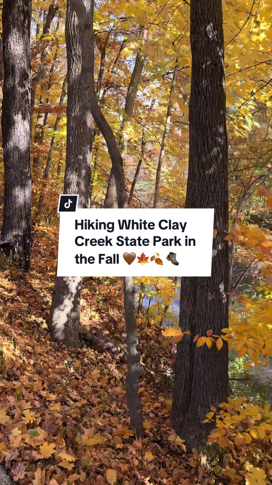 White Clay Creek State Park