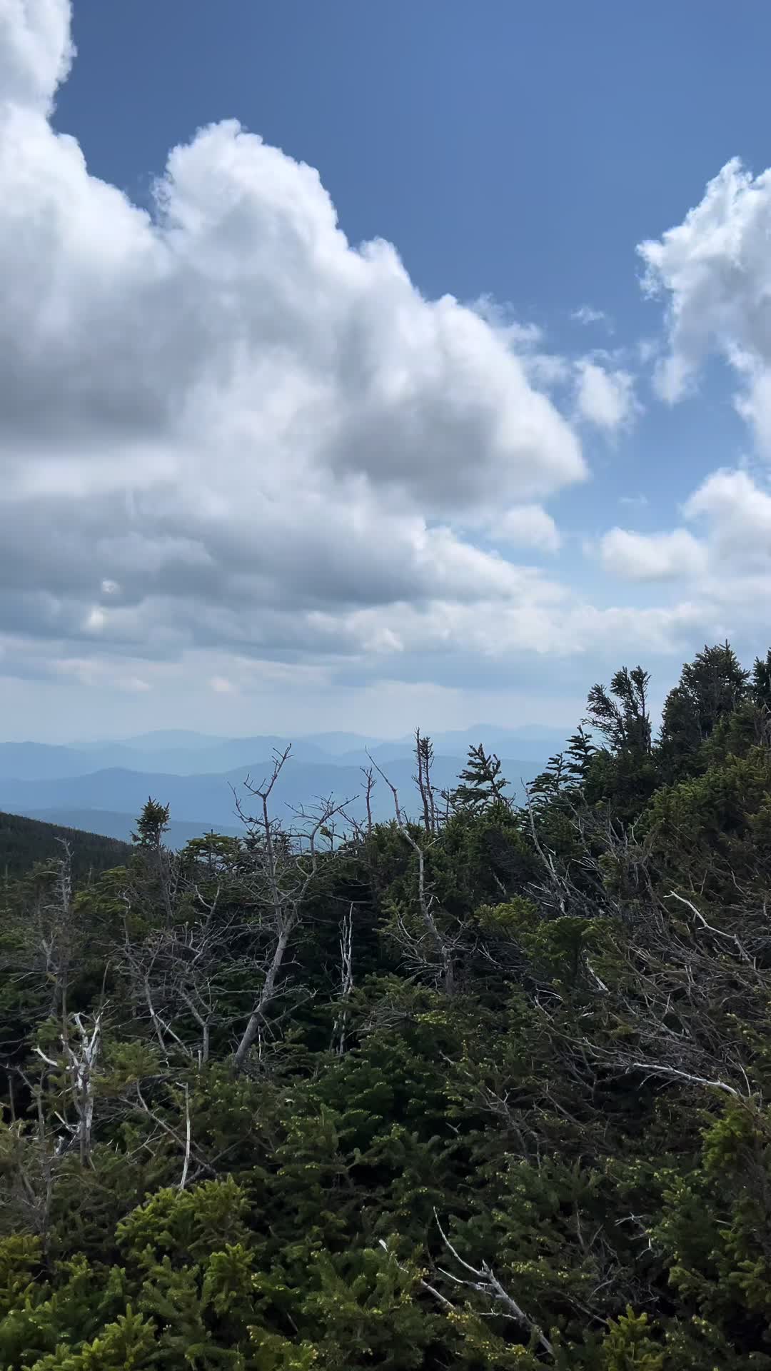 White Mountain National Forest
