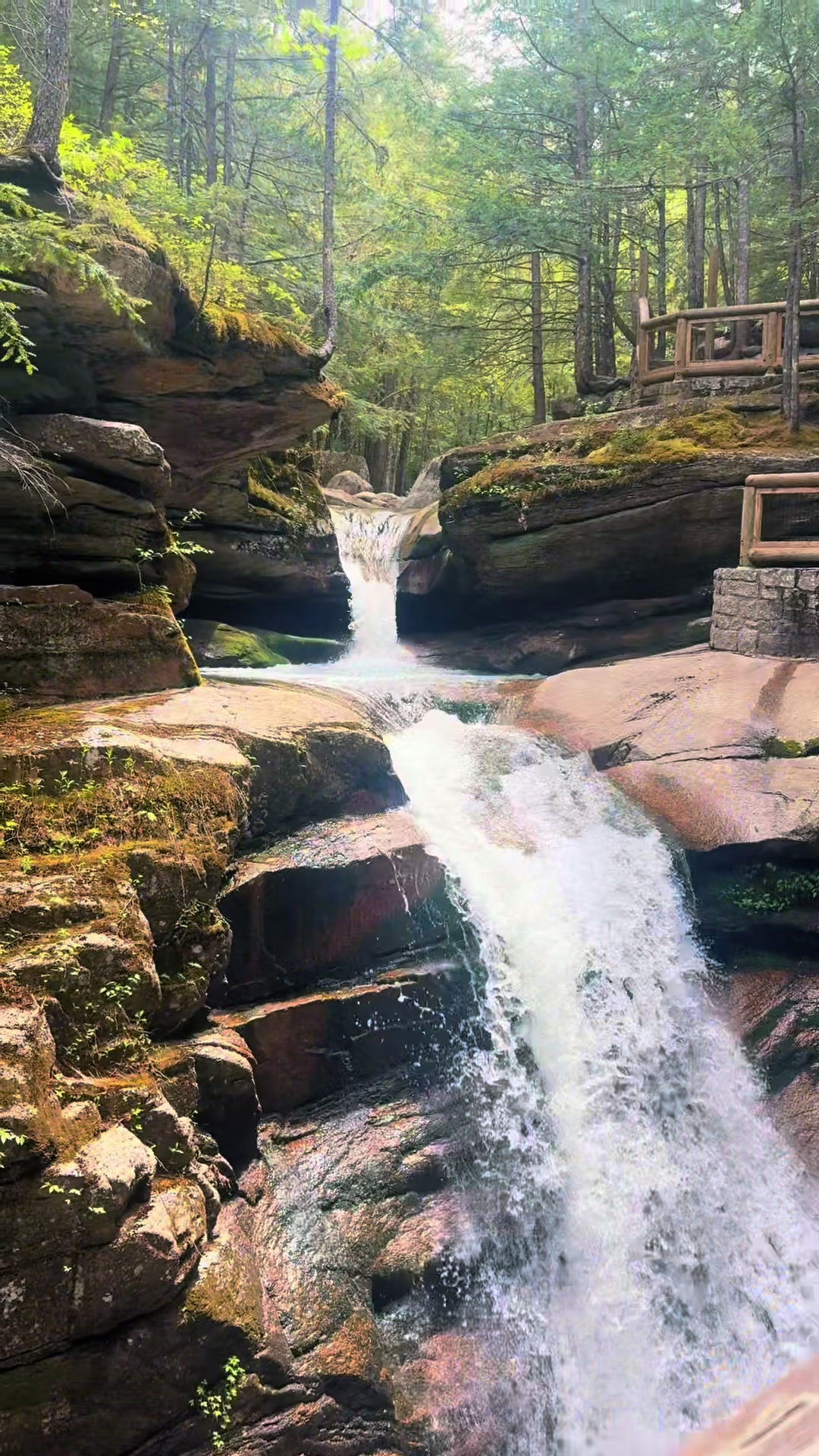 White Mountain National Forest