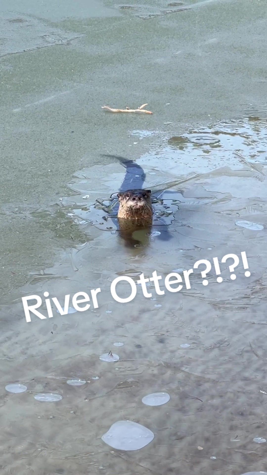 White Otter Outdoor Adventures