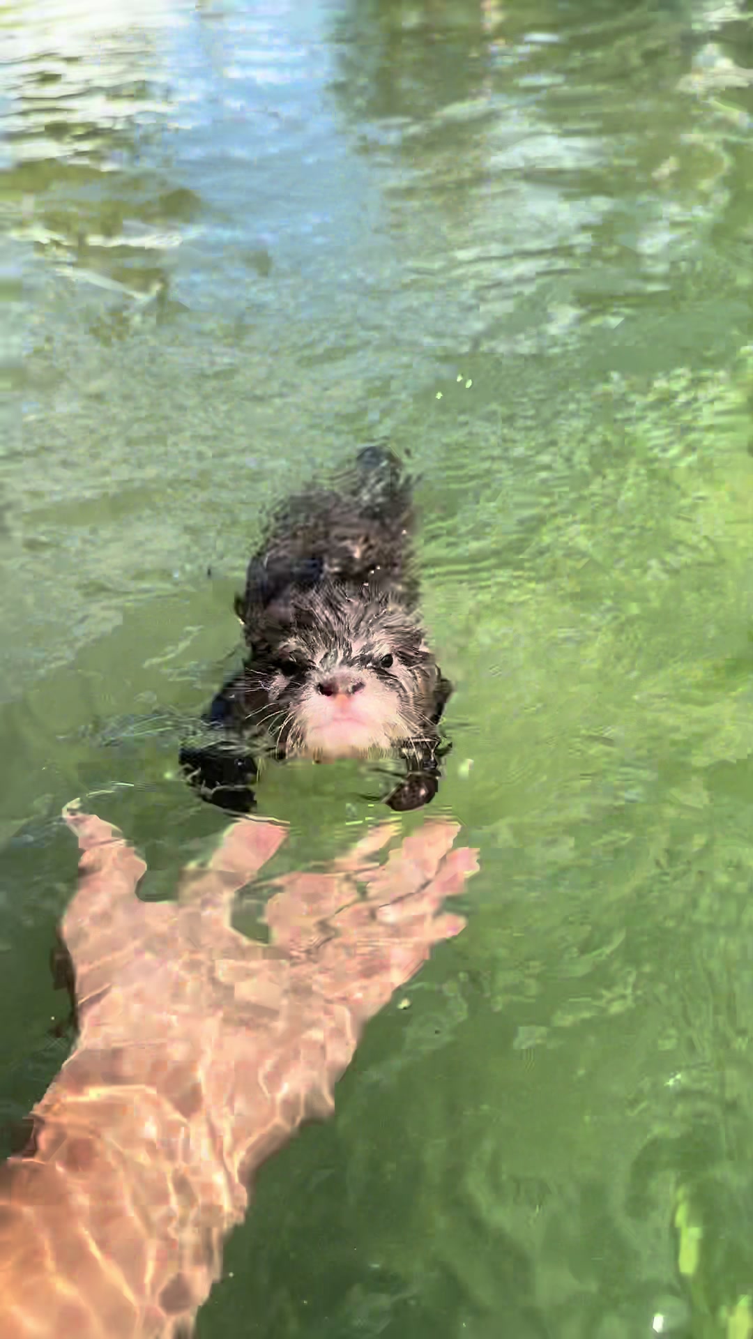 White Otter Outdoor Adventures