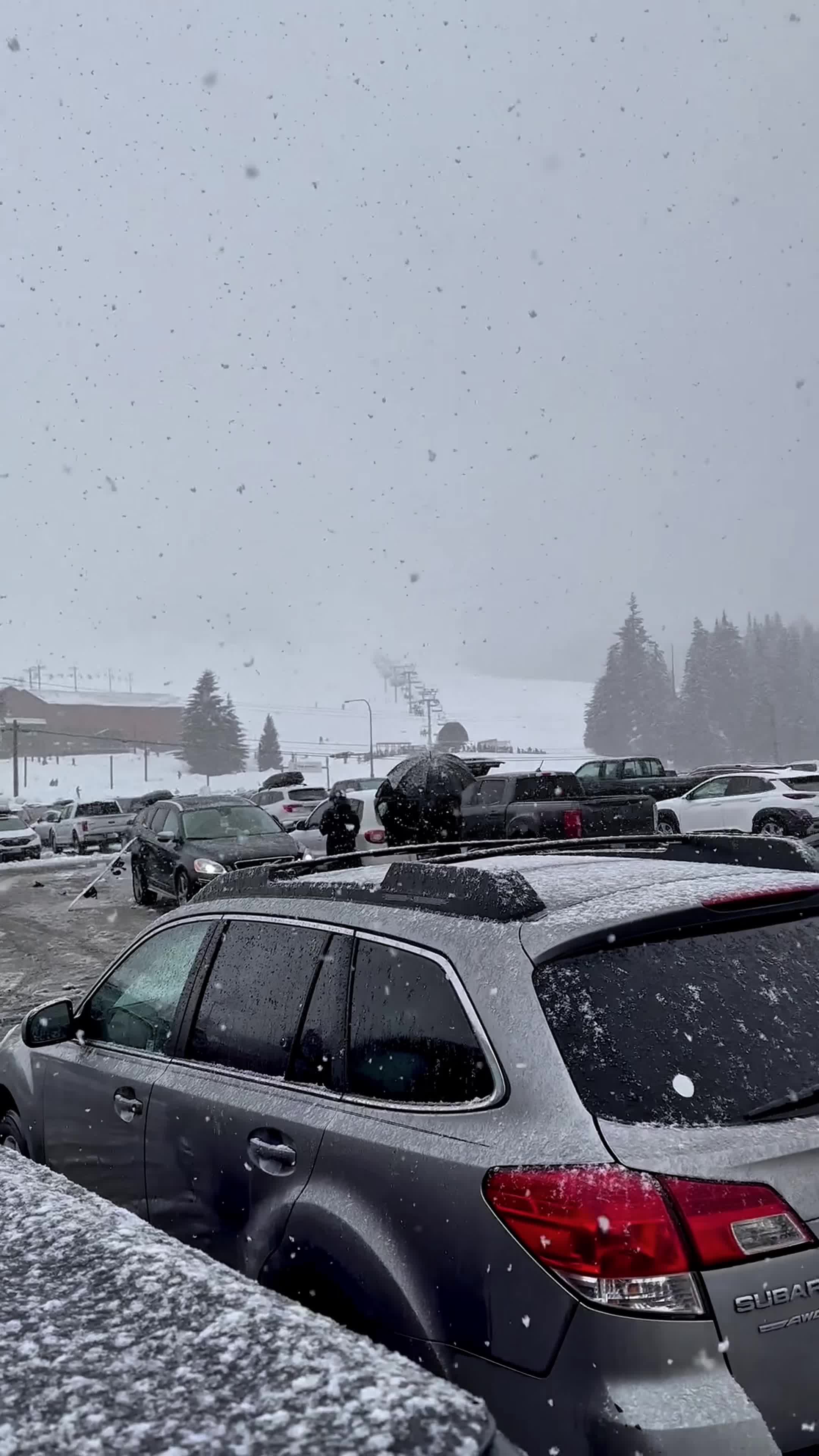 White Pass Ski Area