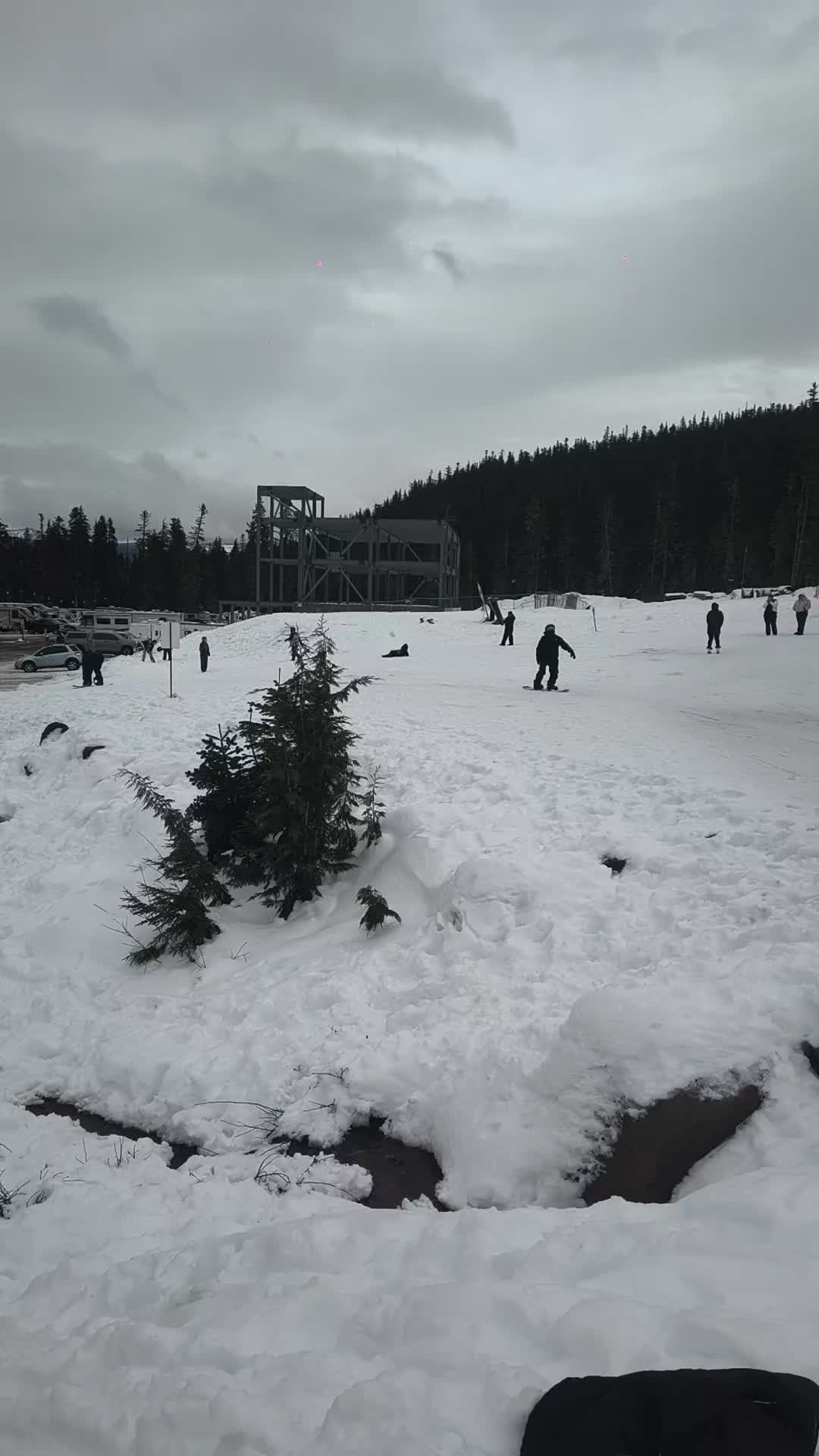 White Pass Ski Area