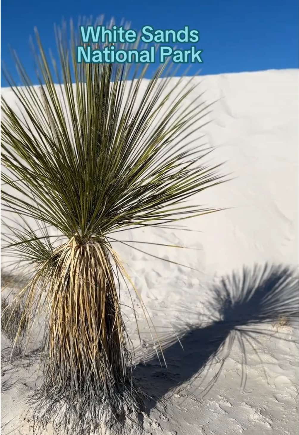 White Sands National Park