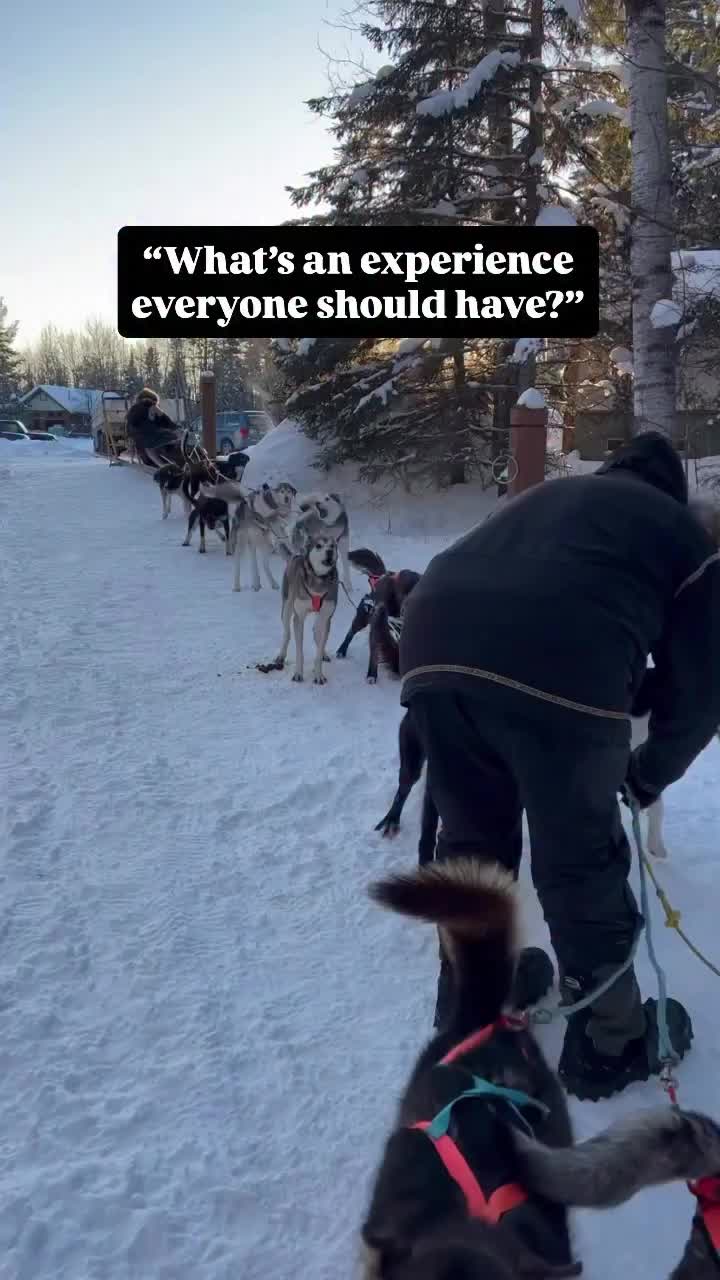 White Wilderness Sled Dog Adventures