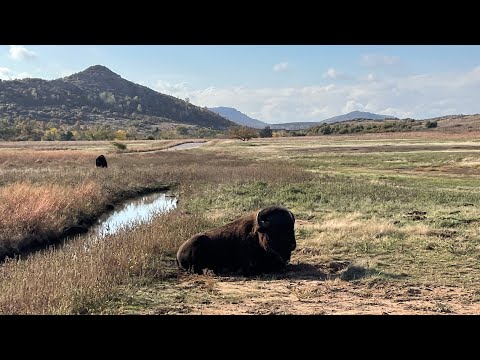 Wichita Mountains Wildlife Refuge