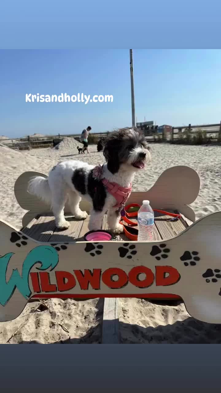 Wildwood Dog Beach