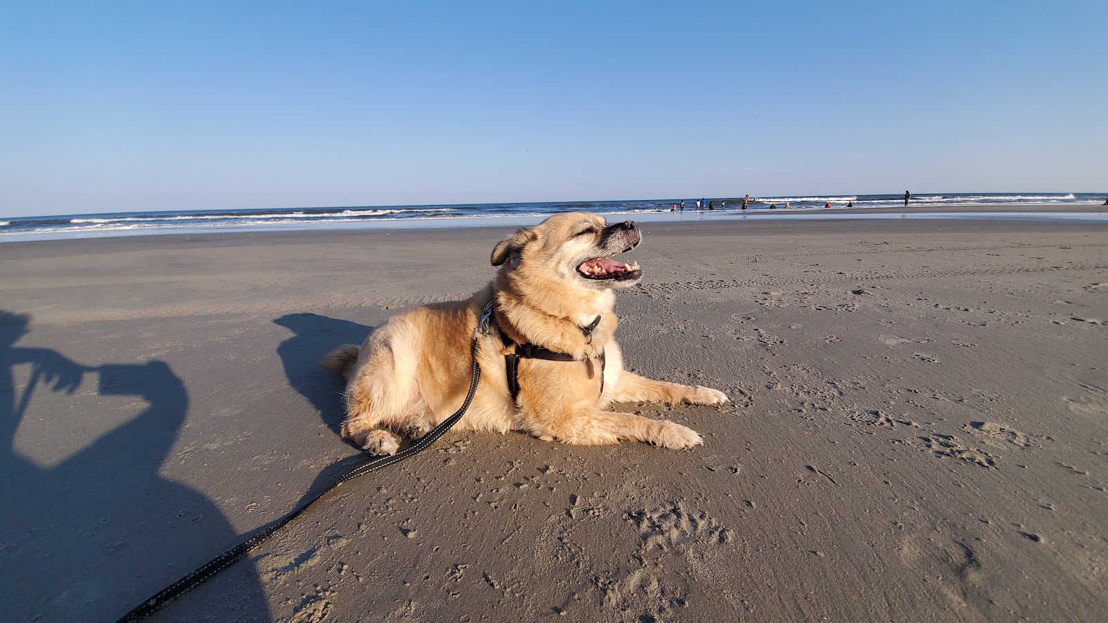 10 Best Places for Dog Friendly Weekend New Jersey