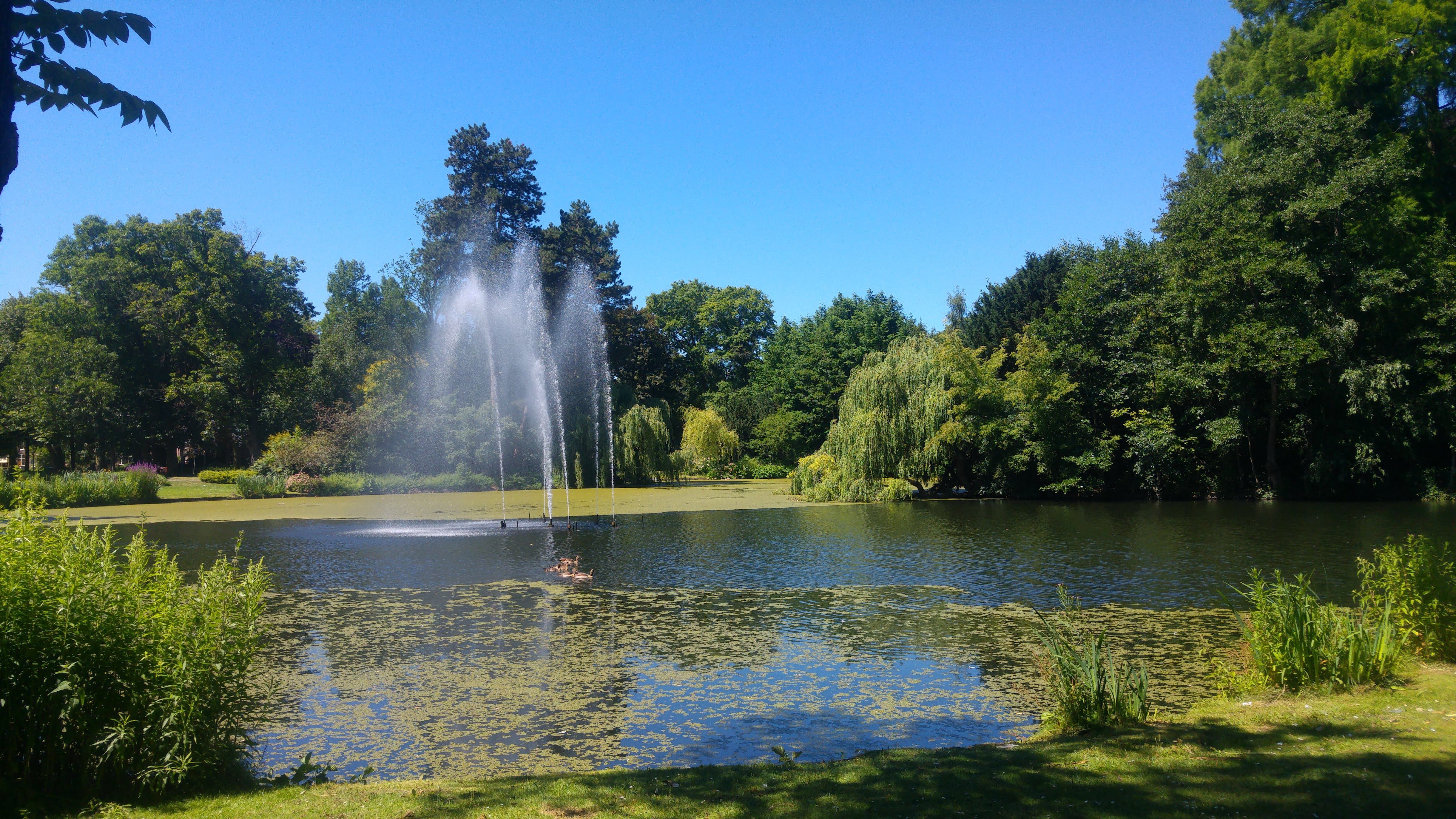 Wilhelmina Park