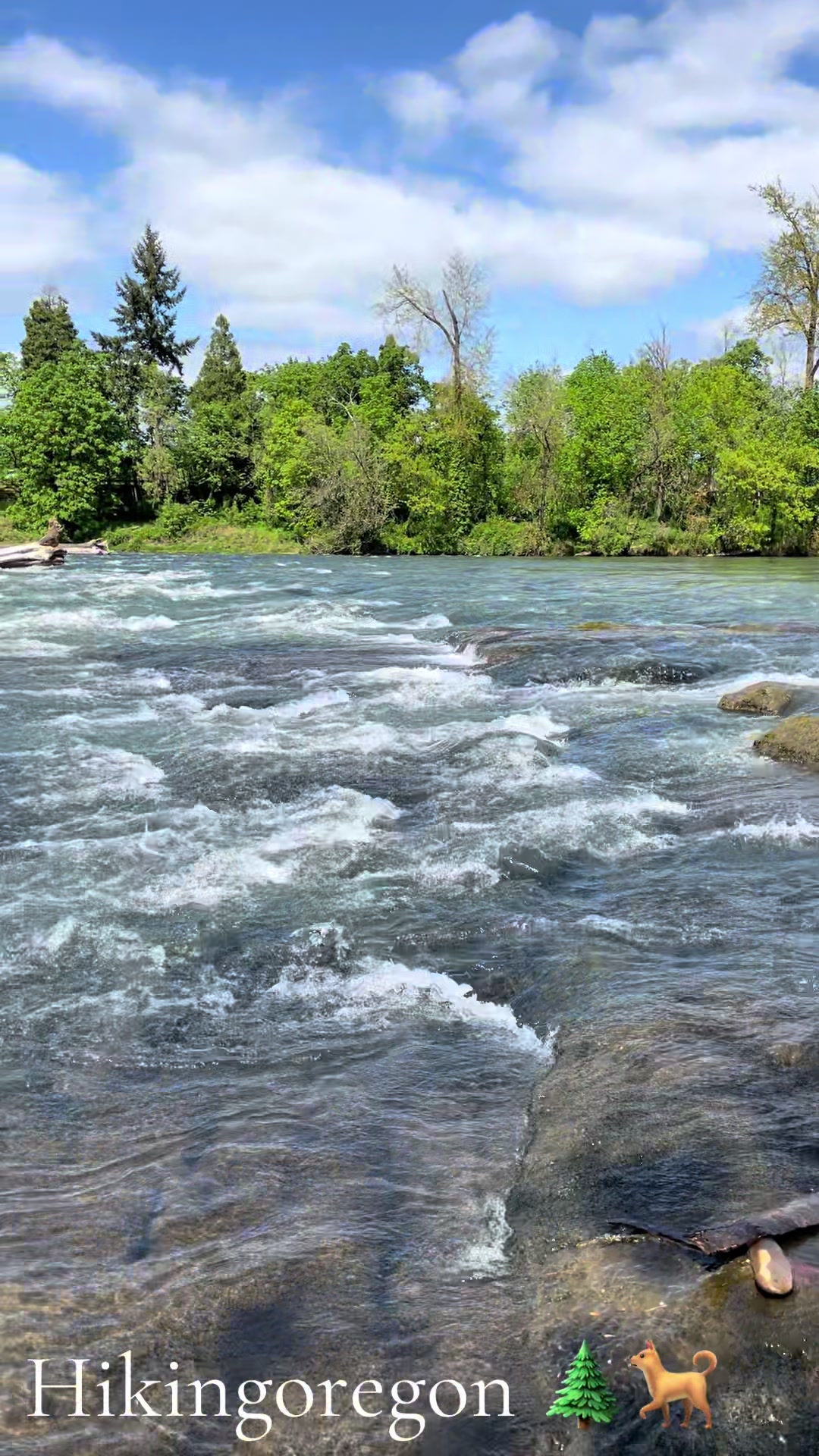 Willamette River
