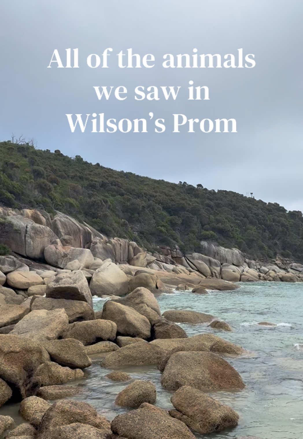 Wilson's Promontory