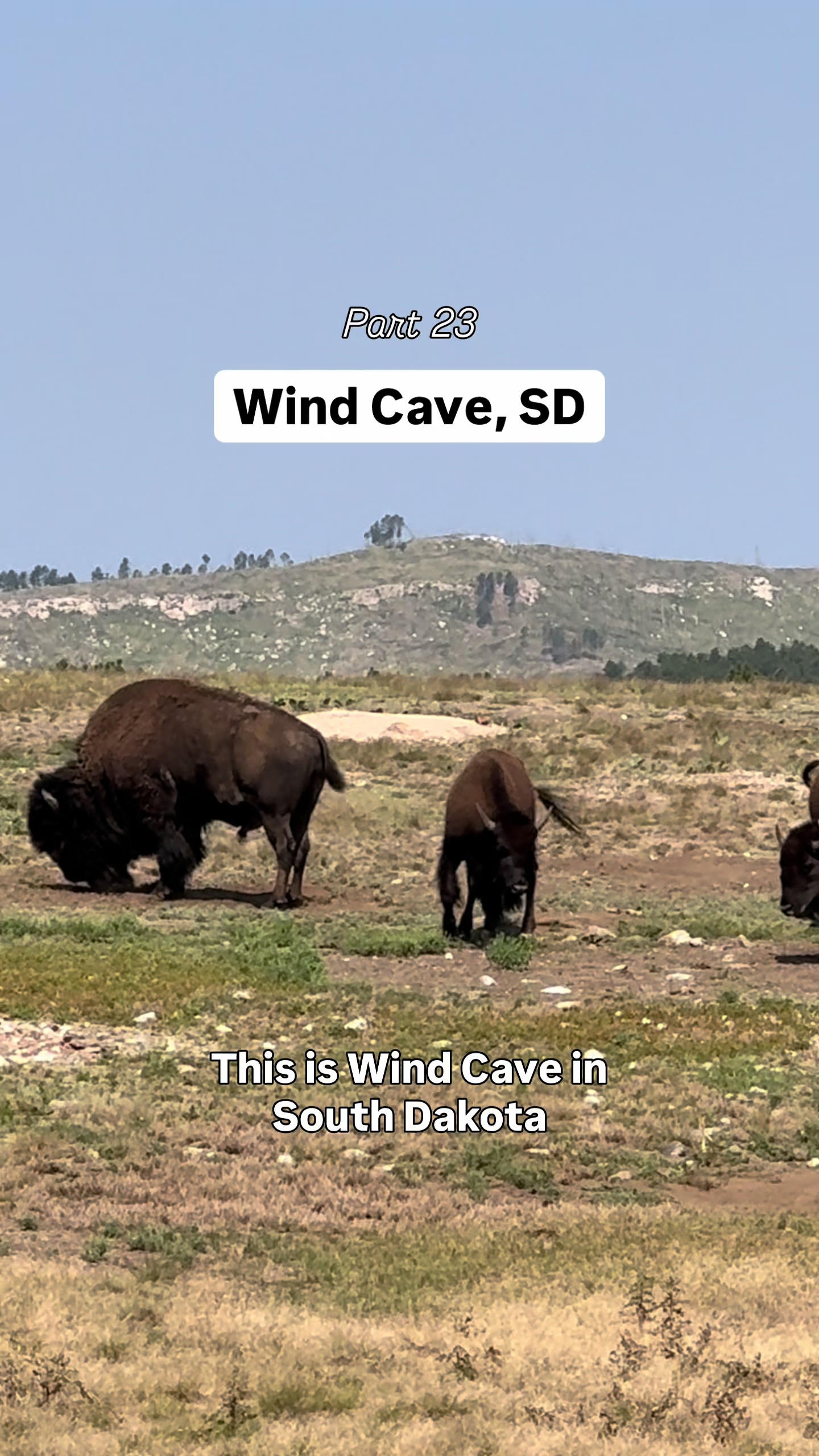 Wind Cave National Park