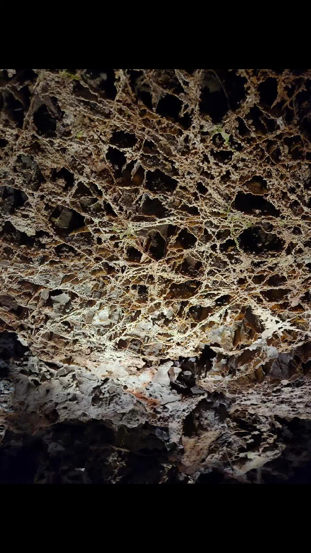 Wind Cave National Park