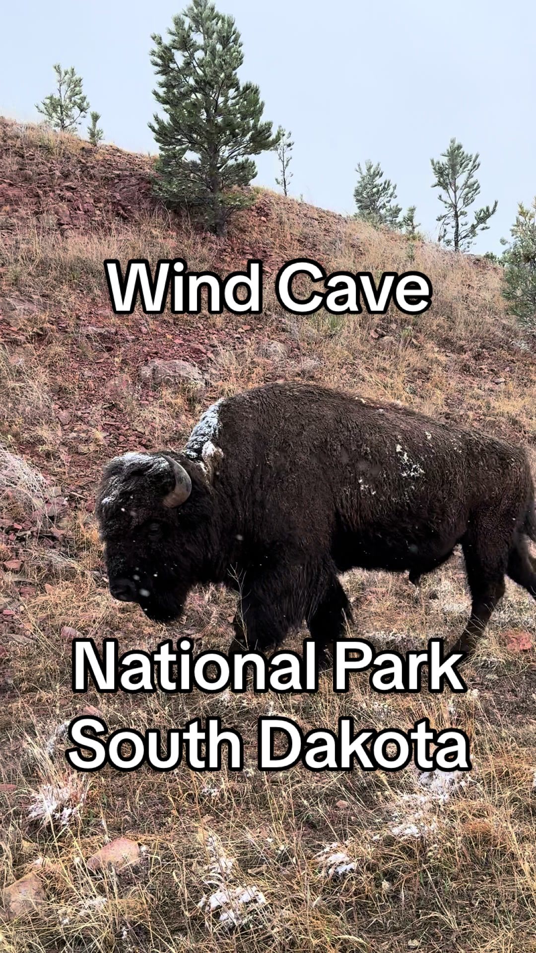 Wind Cave National Park