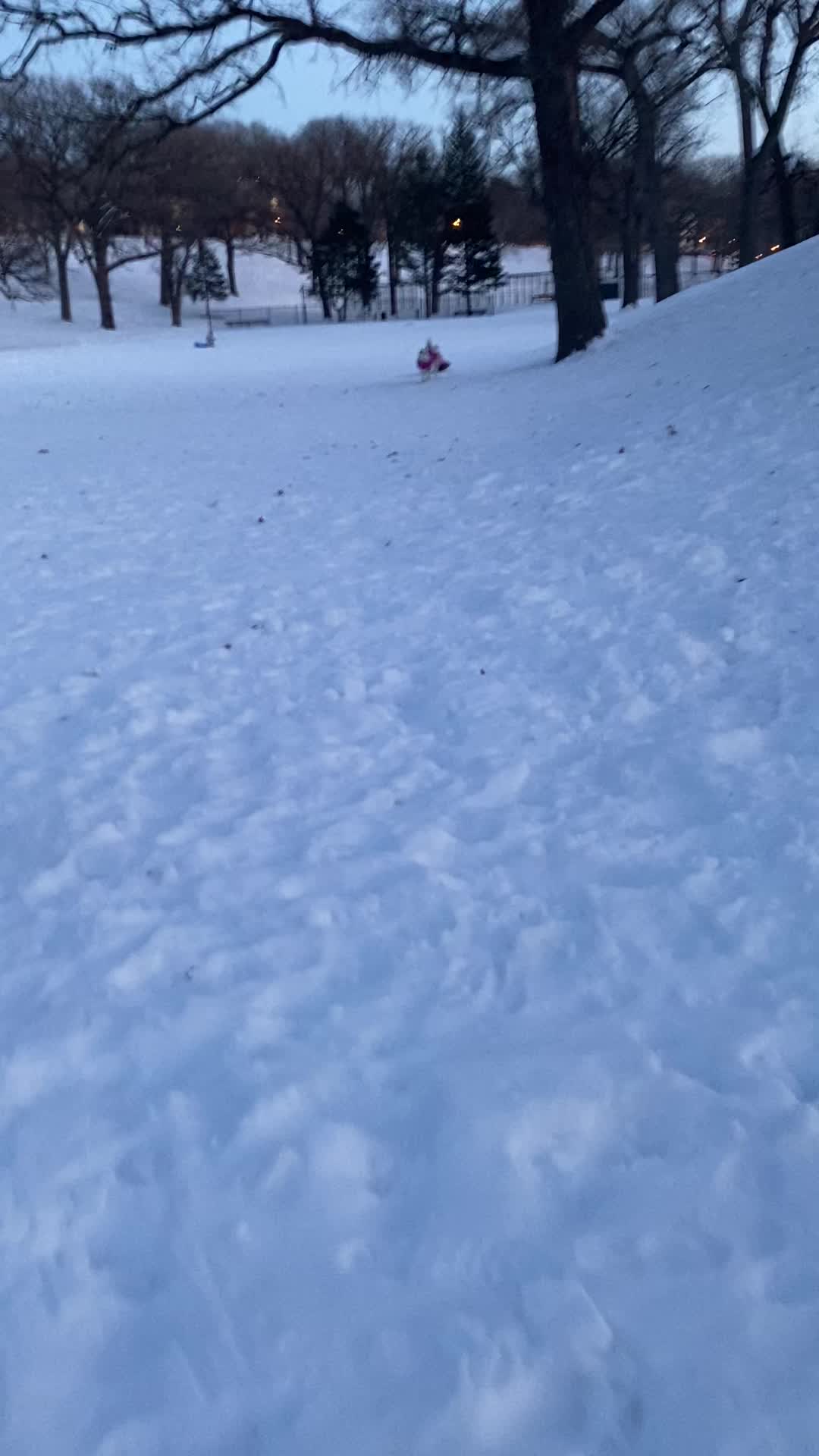 Wintergreen Dogsled Lodge