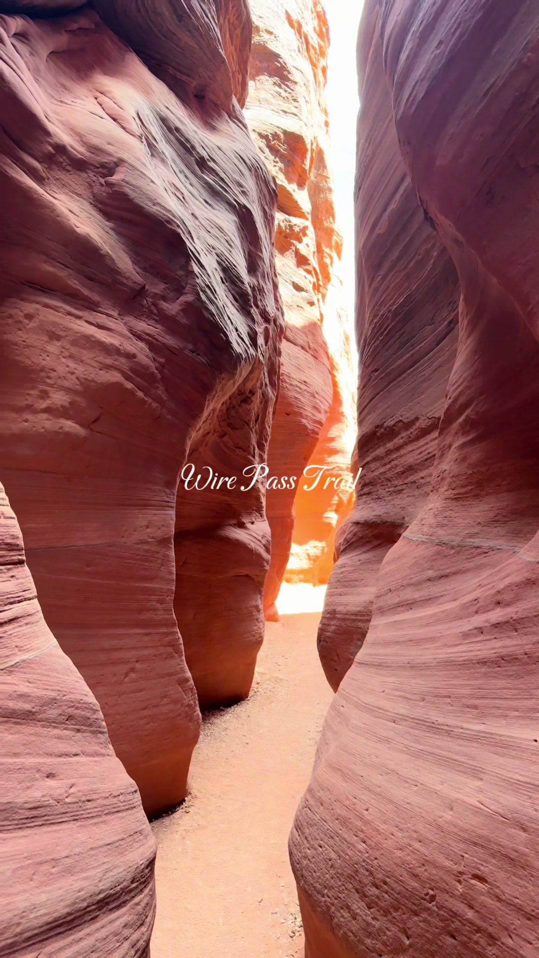 Wire Pass Trailhead