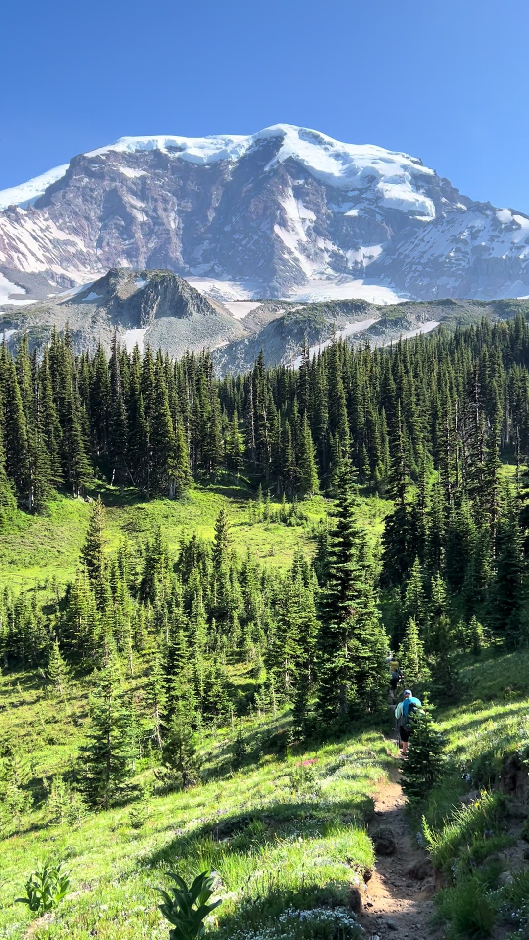 Wonderland Trail