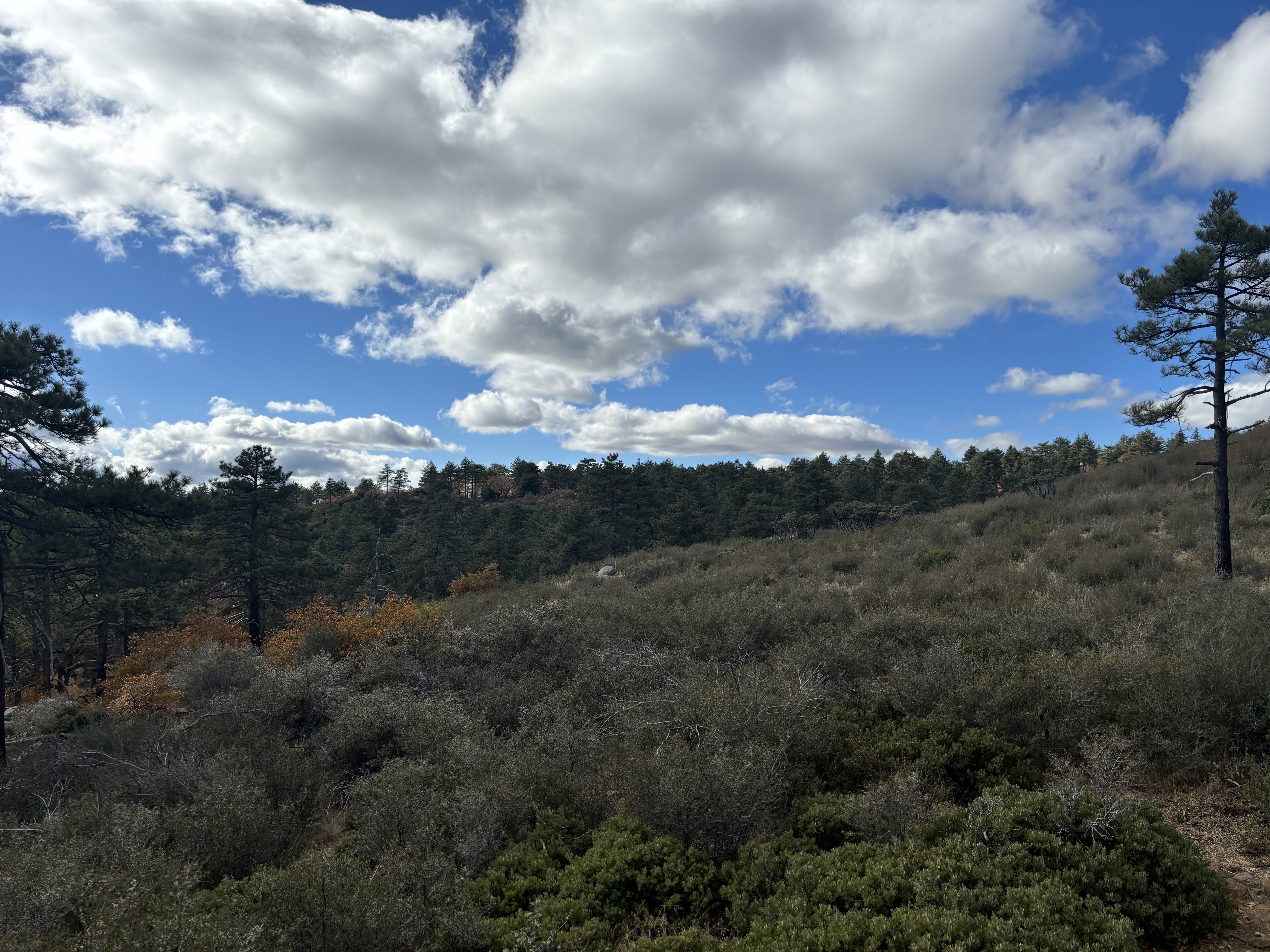 Mount Laguna (Hiking Trails)