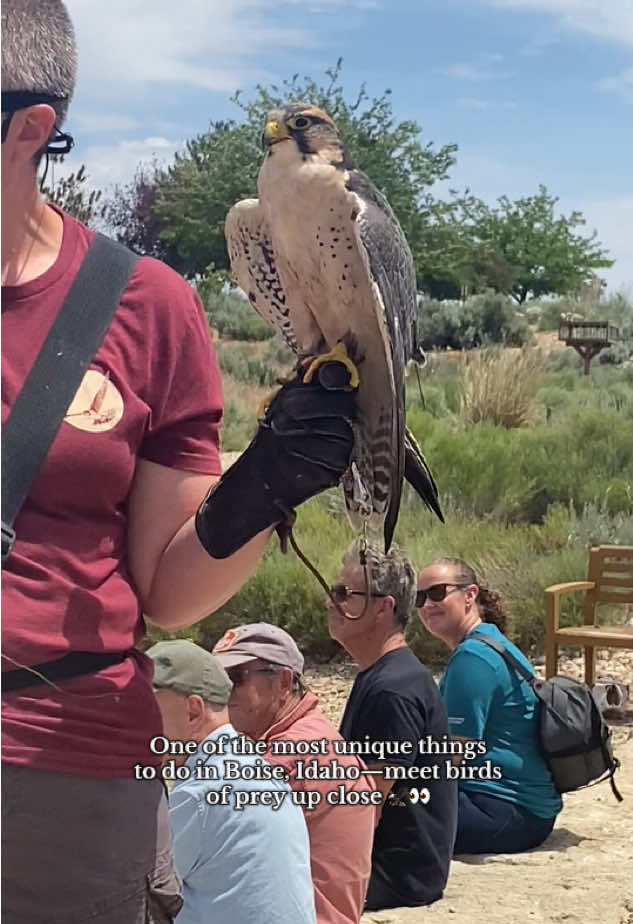 World Center for Birds of Prey