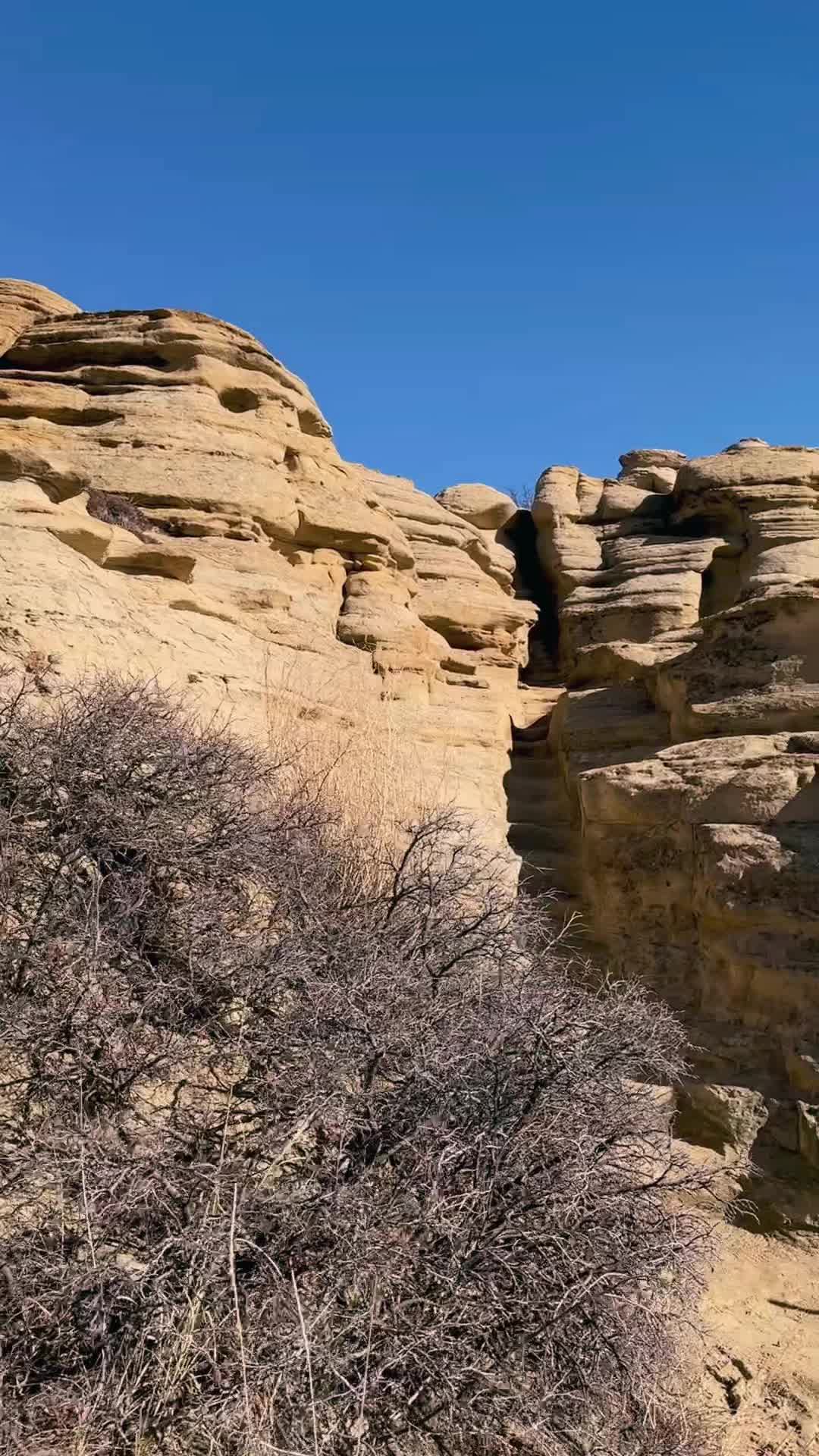 Writing-on-Stone Provincial Park