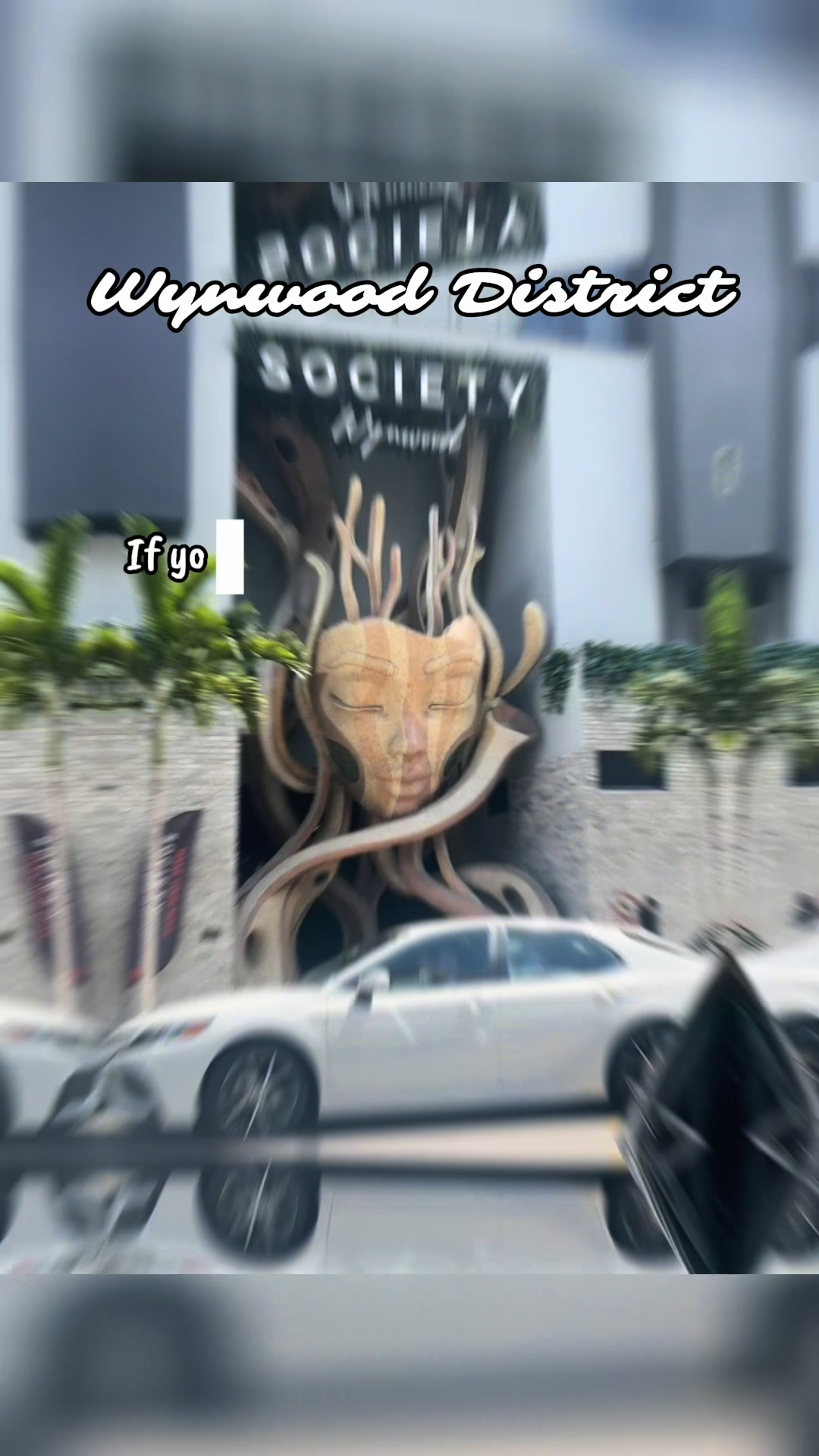 Wynwood Walls