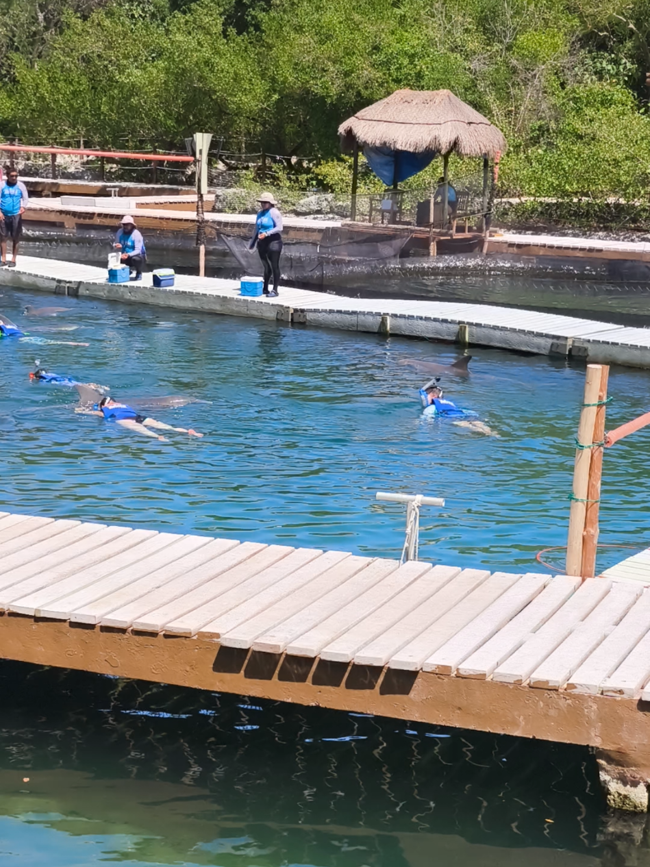Xel-Ha Park