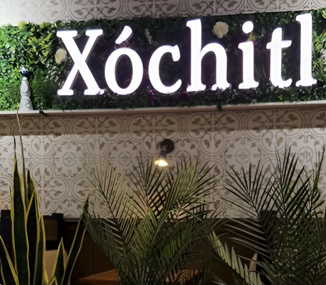 Picture for Xóchitl