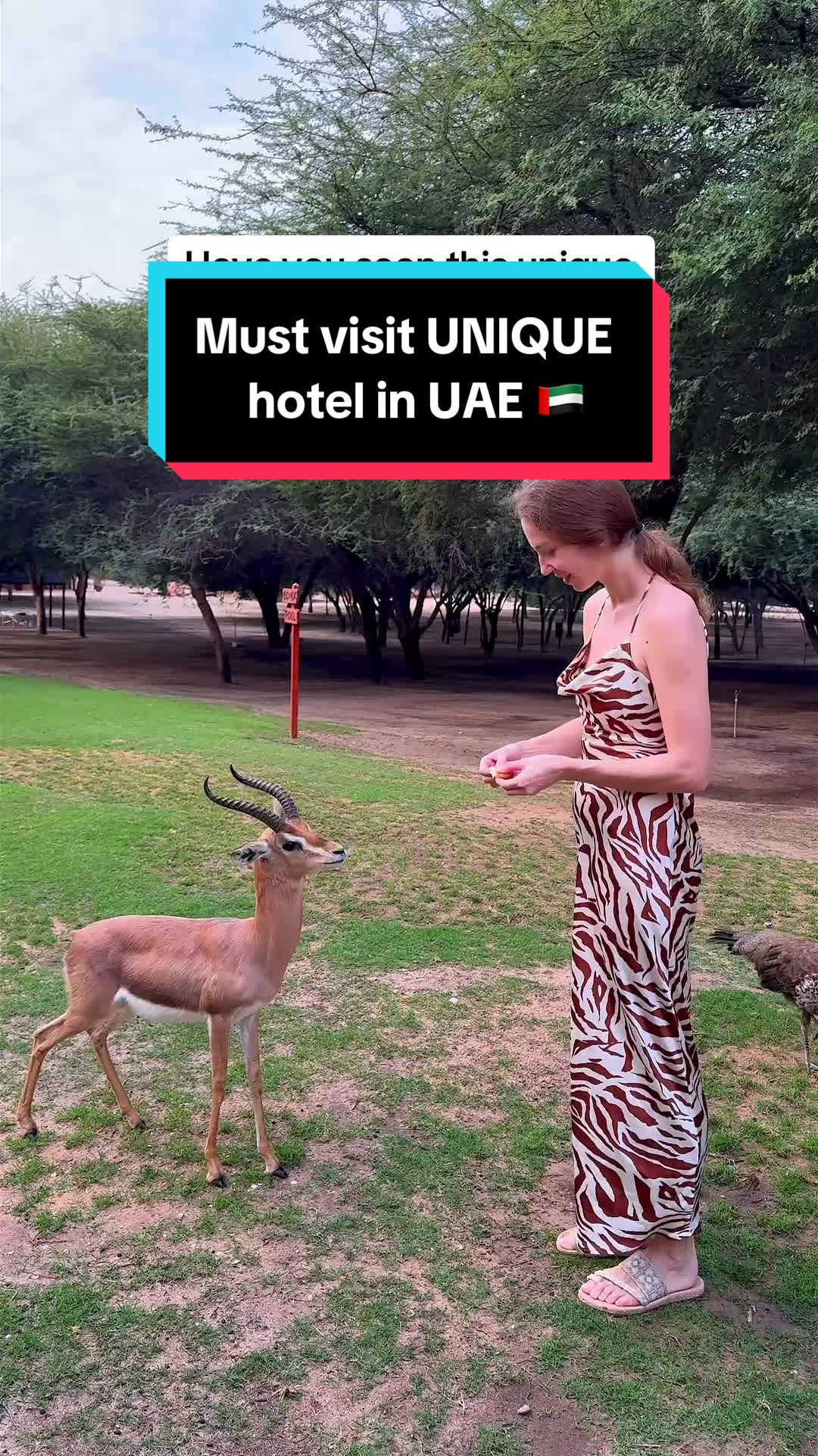 אי סיר בני יאס