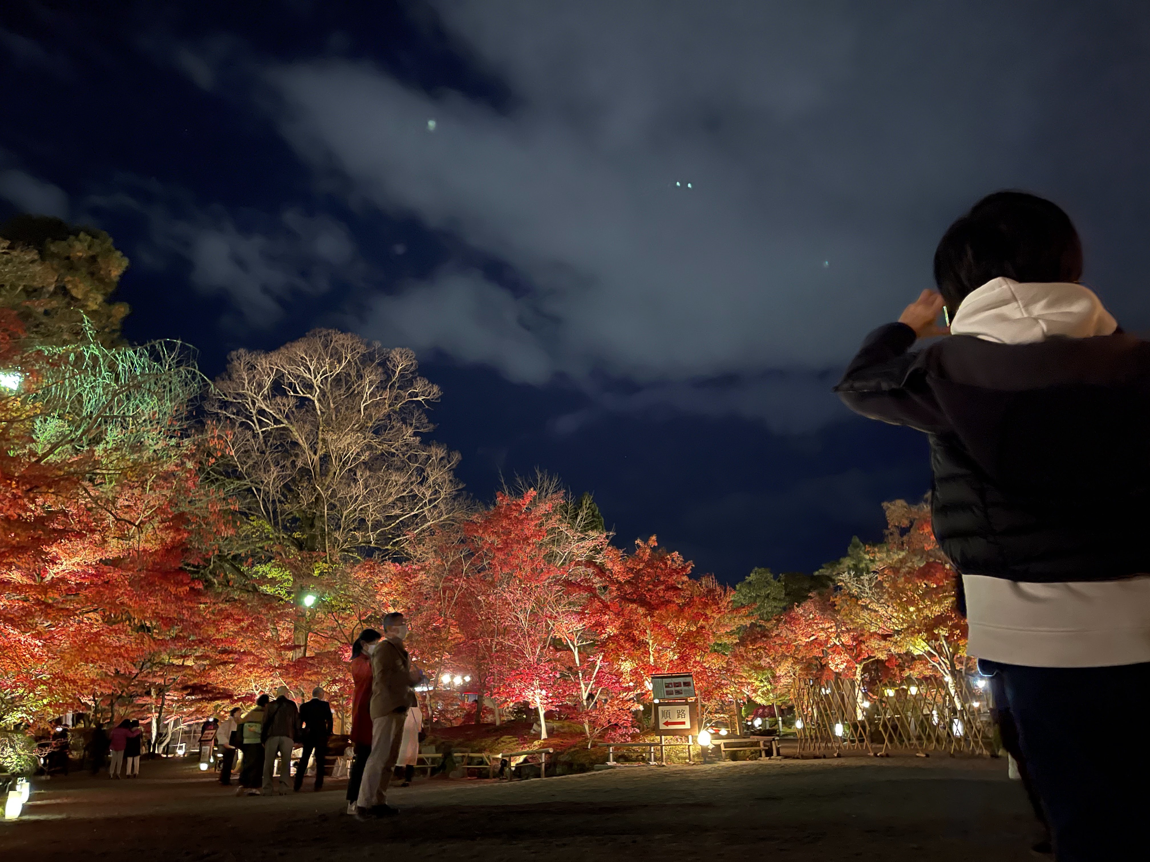 Picture for Ryokan Yachiyo (Kyoto)