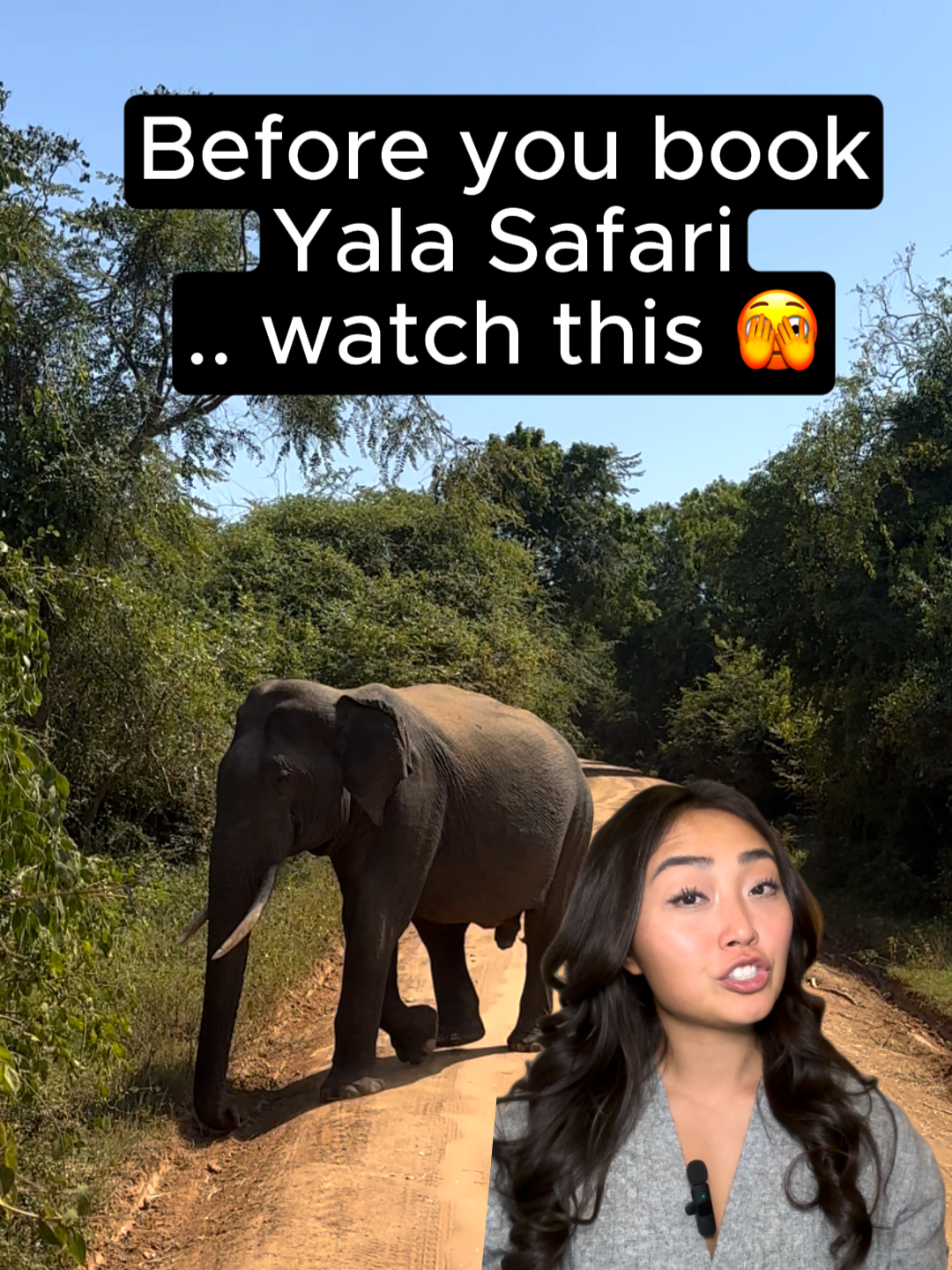 Yala National Park