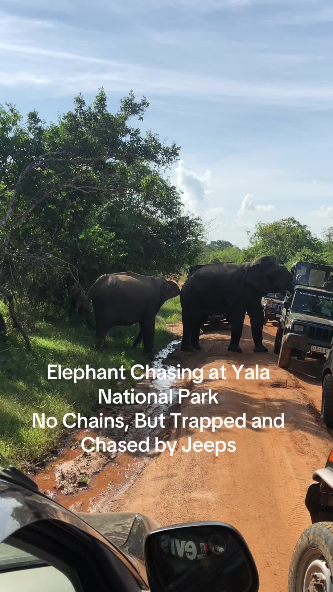 Yala National Park