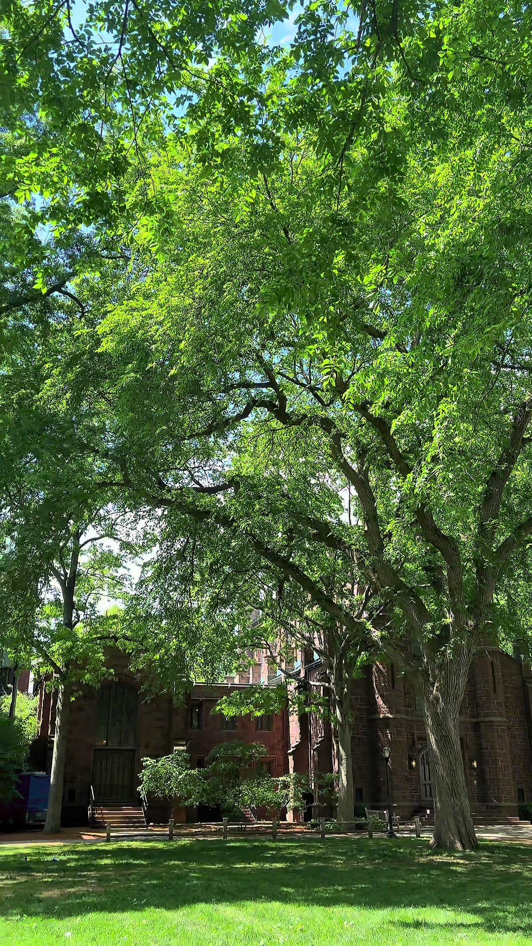 Yale University