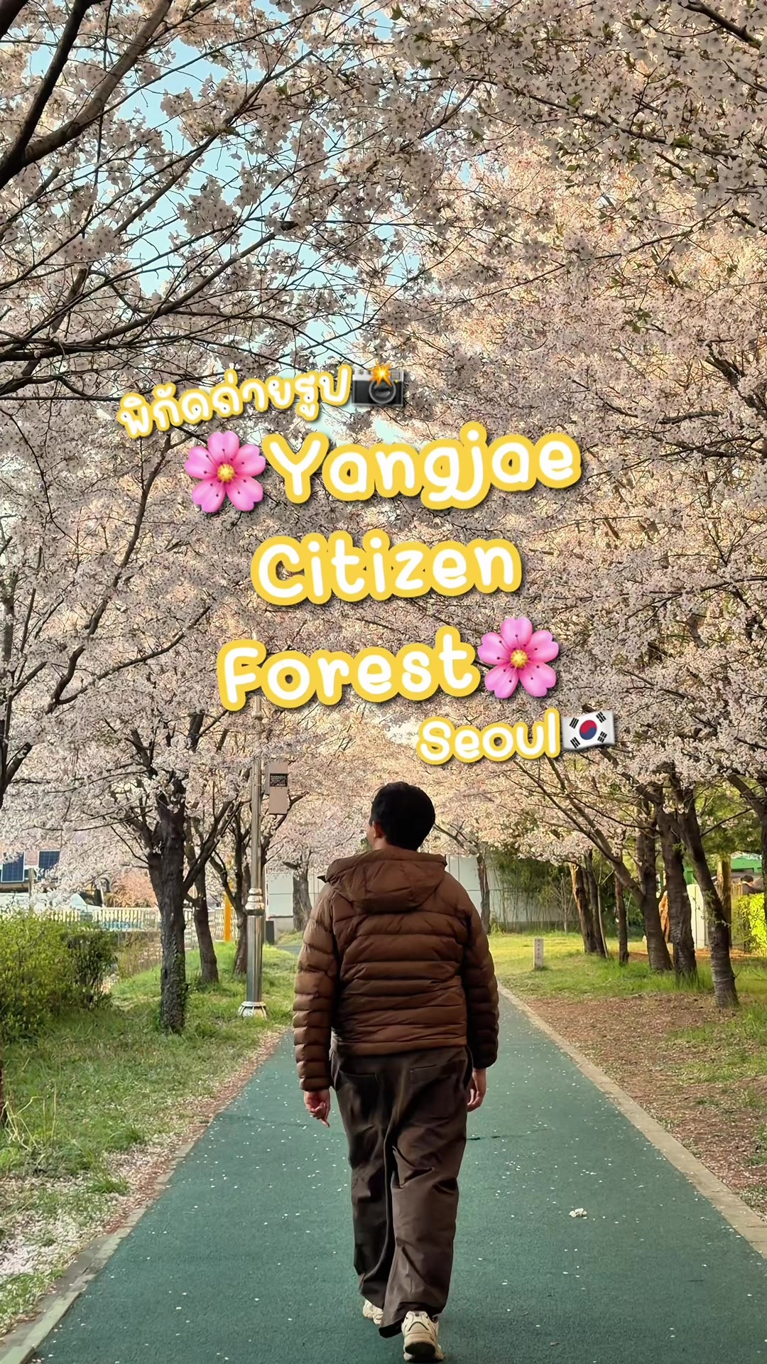 Yangjae Citizens' Forest