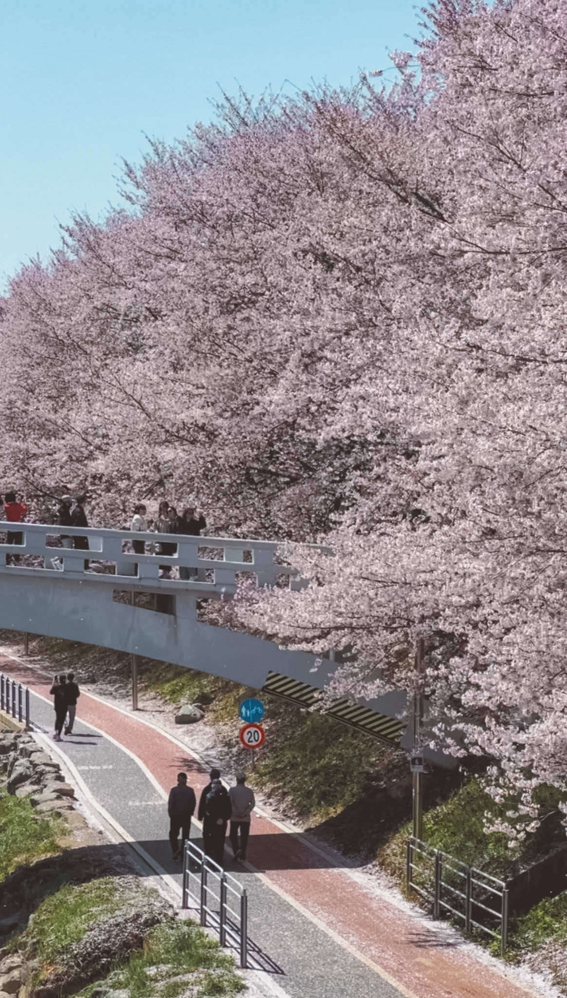 Yangjae Citizens' Forest