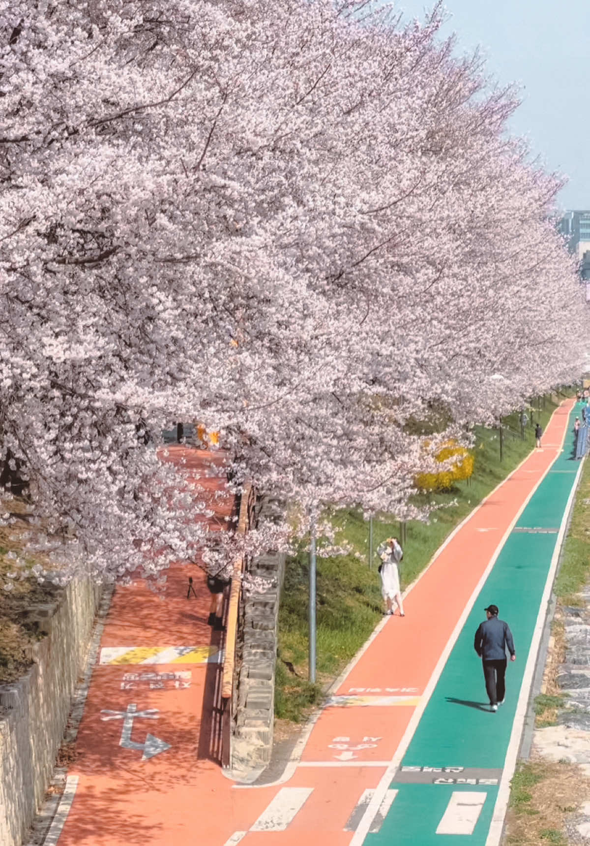 Yangjae Citizens' Forest
