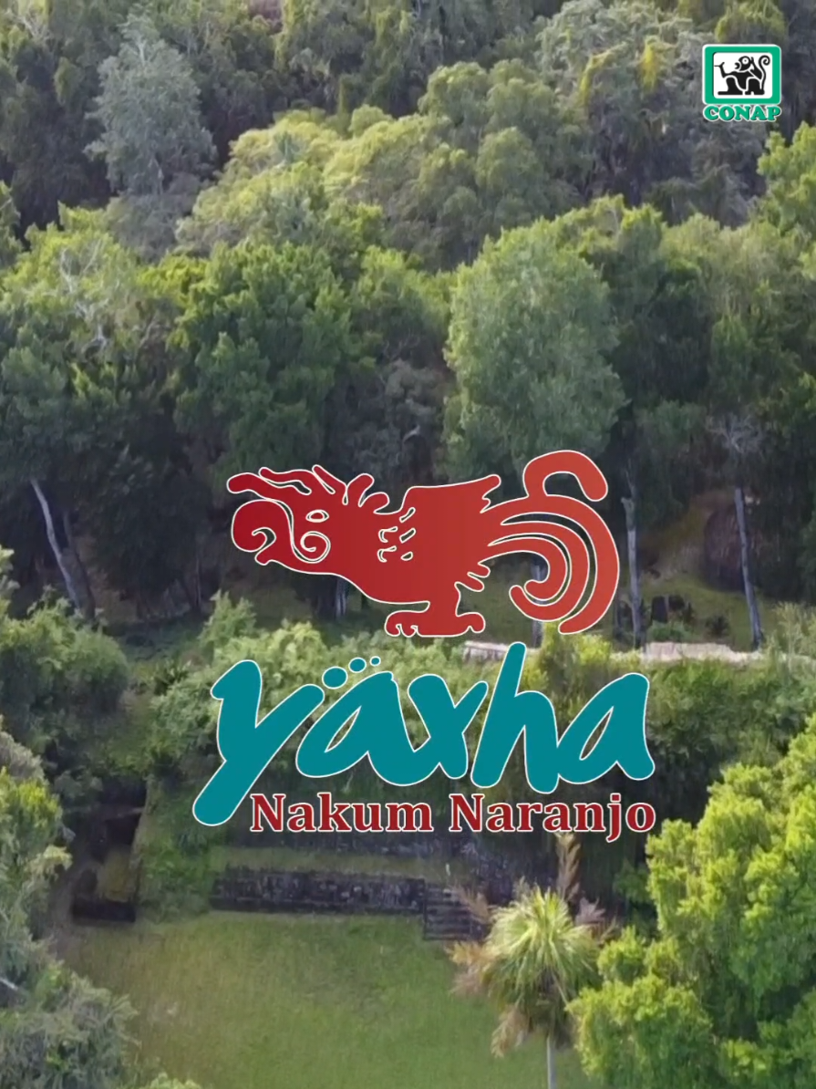Yaxhá-Nakum-Naranjo National Park