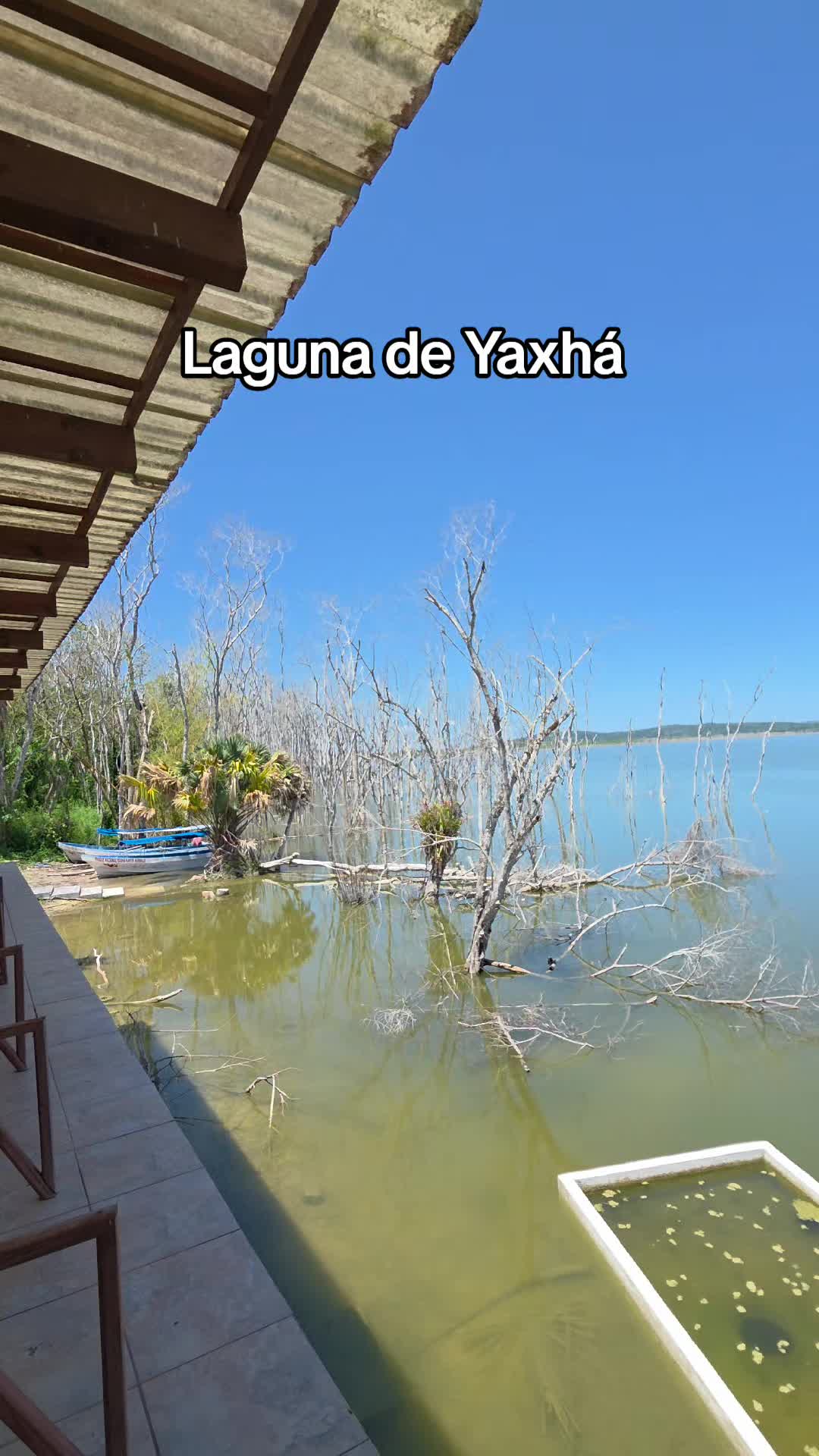 Yaxhá-Nakum-Naranjo National Park