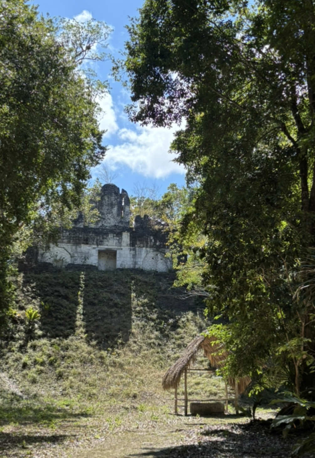 Yaxhá-Nakum-Naranjo National Park