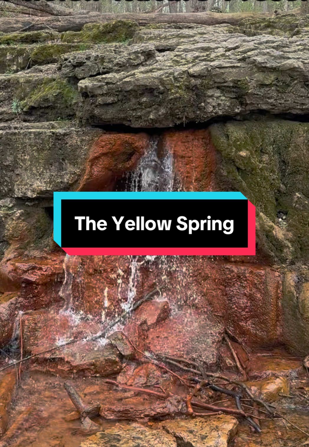 Yellow Springs