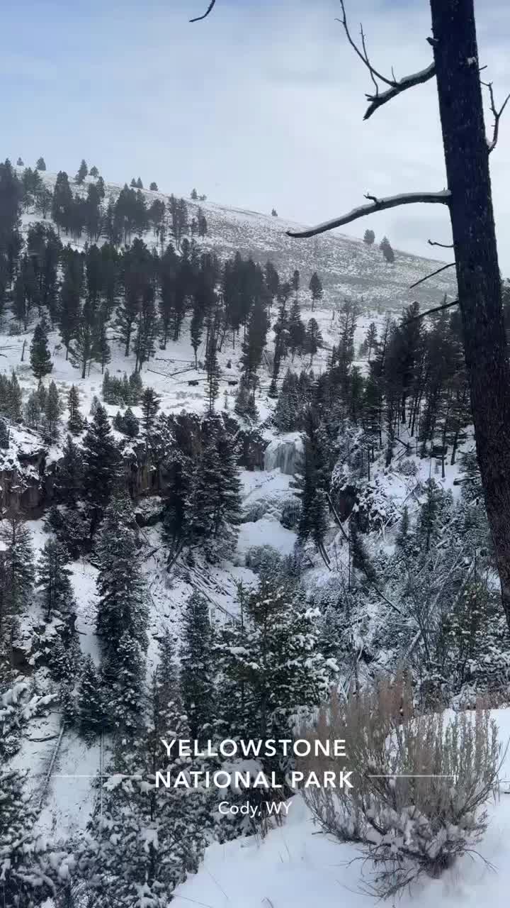 Yellowstone National Park, WY