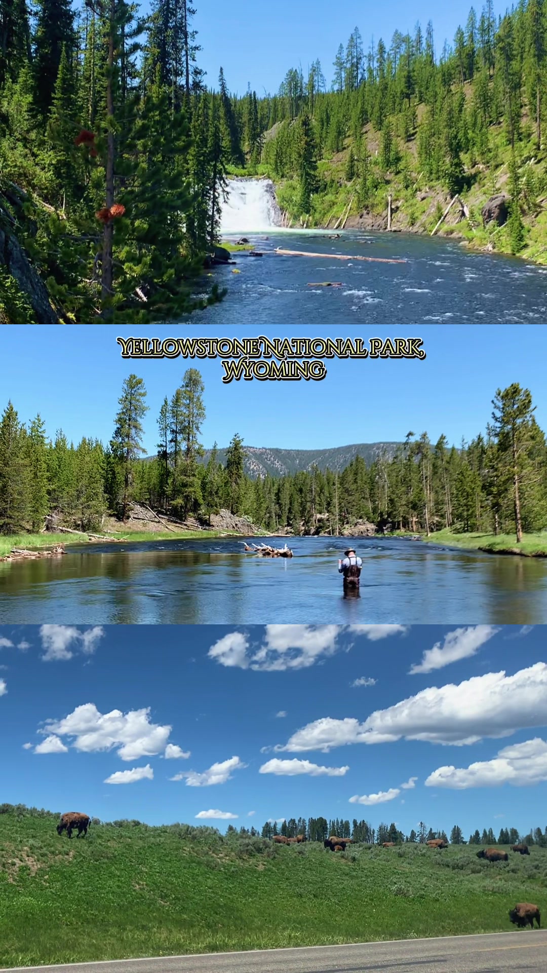 Yellowstone National Park, WY