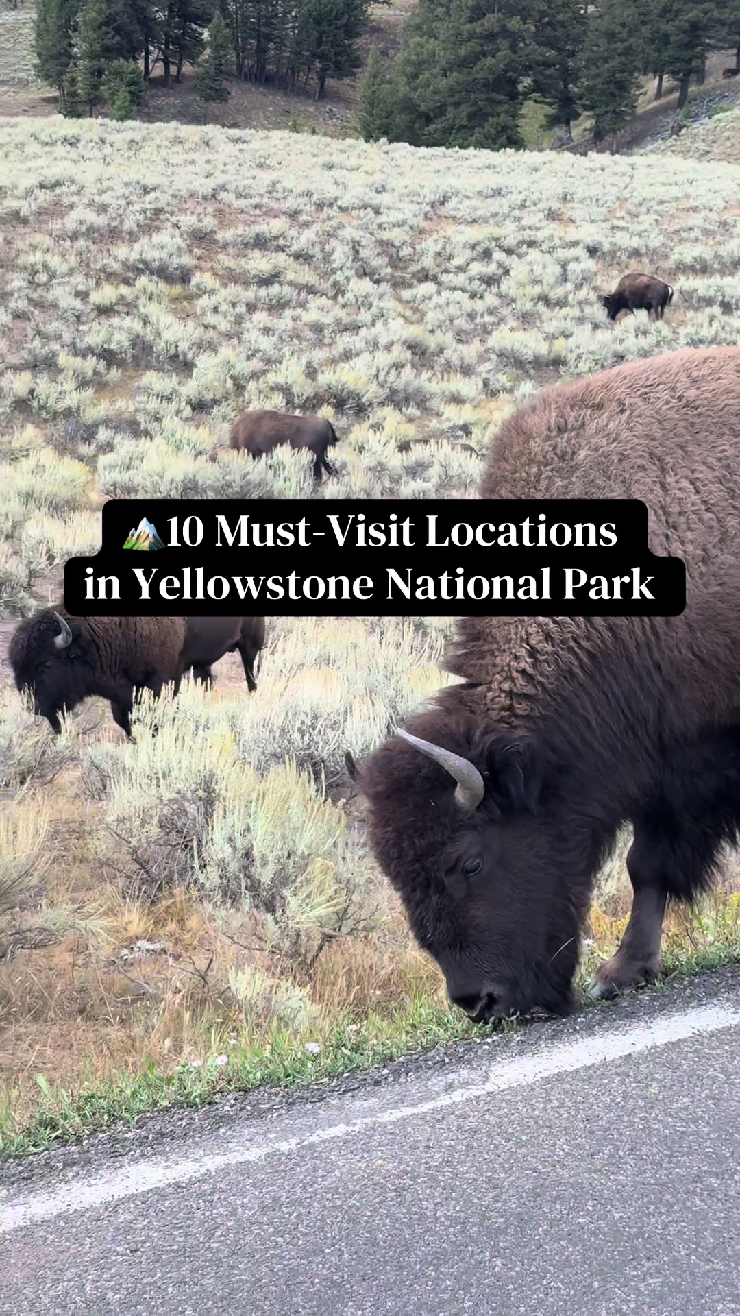 Yellowstone National Park