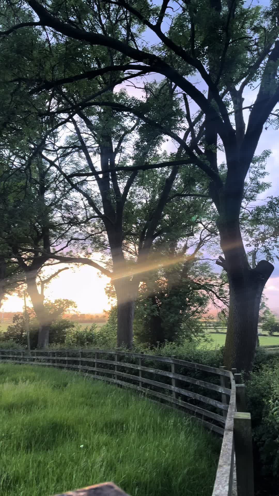 York